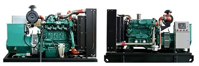 Automatische start LPG-generatorset Industriële gasgeneratorset